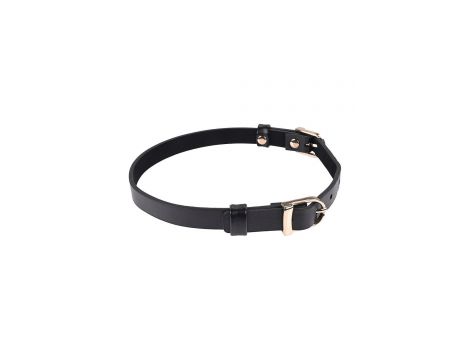 SEX AND MISCHIEF DOUBLE BUCKLE DAY COLLAR - 2