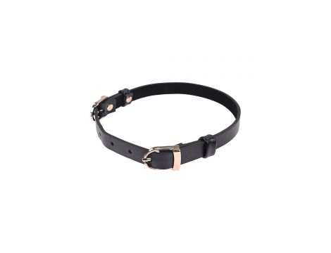 SEX AND MISCHIEF DOUBLE BUCKLE DAY COLLAR - 5