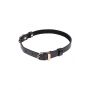 SEX AND MISCHIEF DOUBLE BUCKLE DAY COLLAR - 6
