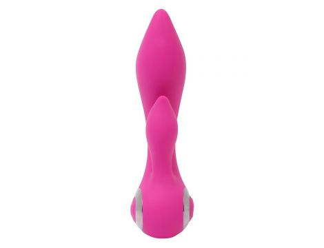 EVOLVED WILD ORCHID - 4