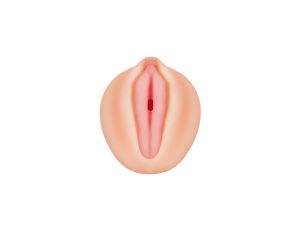 ALEXIS TEXAS REALISTIC VAGINA STROKER