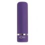 PETITE PURPLE PASSION - 2