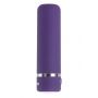 PETITE PURPLE PASSION - 3