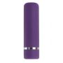 PETITE PURPLE PASSION - 6