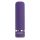 PETITE PURPLE PASSION