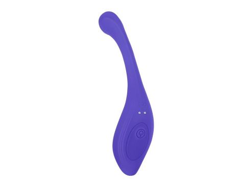 EVOLVED ANYWHERE VIBE - 2