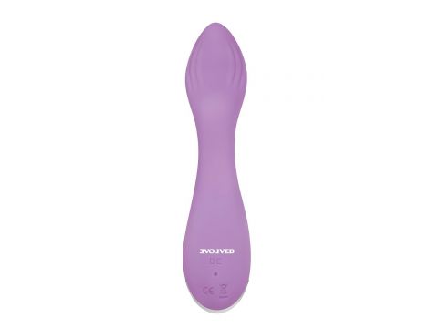 EVOLVED LILAC G - 4
