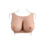 GENDER X UNDERGARMENTS - PLATE E-CUP LIGHT - 5