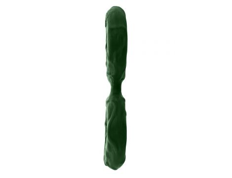 SHAFT DOUBLE C-RINGÂ SMALL GREEN