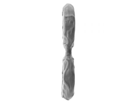 SHAFT DOUBLE C-RING SMALL GRAY - 4