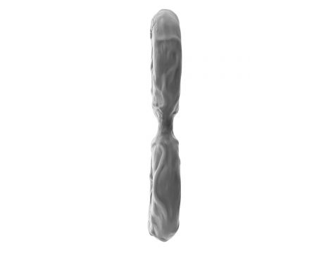 SHAFT DOUBLE C-RING MEDIUM GRAY - 3