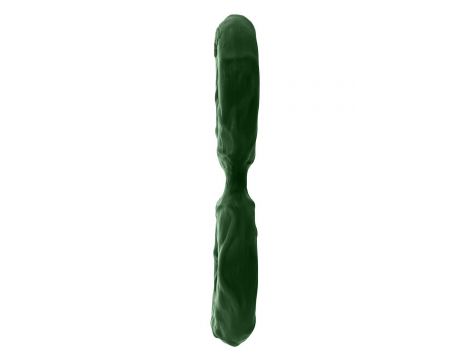 SHAFT DOUBLE C-RINGÂ LARGE GREEN