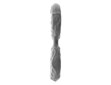 SHAFT DOUBLE C-RING LARGE GRAY - 2