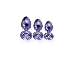 NIXIE METAL BUTT PLUGÂ TRAINERÂ SET, PURPLE METALLIC