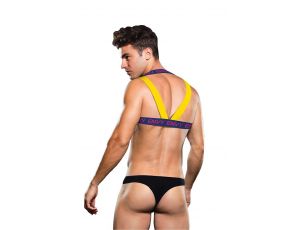 ENVY LOGO HARNESS BLUE YELLOW, L/XL