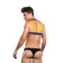 ENVY LOGO HARNESS BLUE YELLOW, L/XL - 2