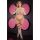 LAPDANCE 3 PCSS CROP TOP G-STRING & THIGH HIGH SET GREY, QUEEN