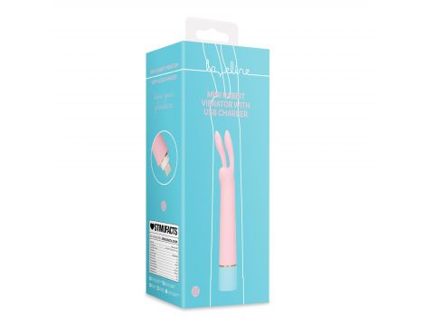 Mini Rabbit Vibrator with USB Charger