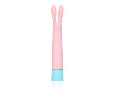Mini Rabbit Vibrator with USB Charger - 3