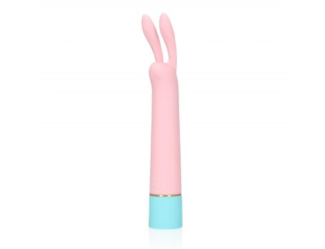 Mini Rabbit Vibrator with USB Charger - 9