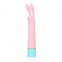 Mini Rabbit Vibrator with USB Charger - 10