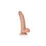 Curved Realistic Dildo  Balls  Suction Cup - 8""""/ 20,5 cm - 5