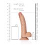 Curved Realistic Dildo  Balls  Suction Cup - 8""""/ 20,5 cm - 8