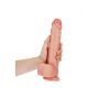 Straight Realistic Dildo  Balls  Suction Cup - 10""""/ 25,5 cm - 5