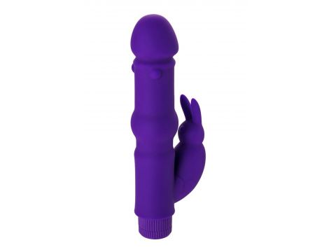 A-TOYS, Vibrator with clitoral stim, Silicone, Purple, 18 cm - 7