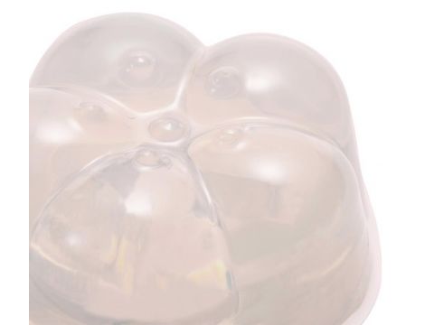 iroha petit PLUM - 5