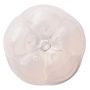iroha petit PLUM - 2