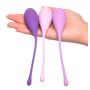 FFH Kegel Train-Her Set - 4