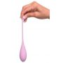 FFH Kegel Train-Her Set - 3