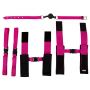 FFS Passion Bondage Kit - 10