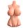 PDX Plus Perfect 10 Torso Ligh