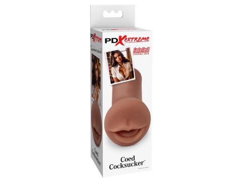PDXE Coed Cocksucker Brown - 5