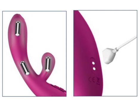 JJ Solis Rabbit - 8