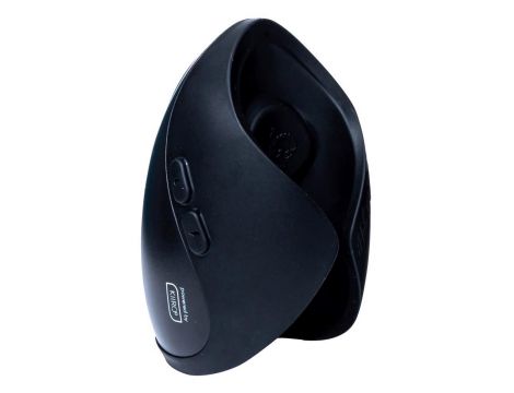 Pulse Solo Interactive - 4