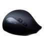 Pulse Solo Interactive - 6