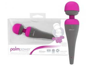 PalmPower Massager