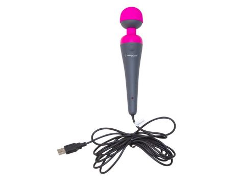Palm Power Plug & Play
