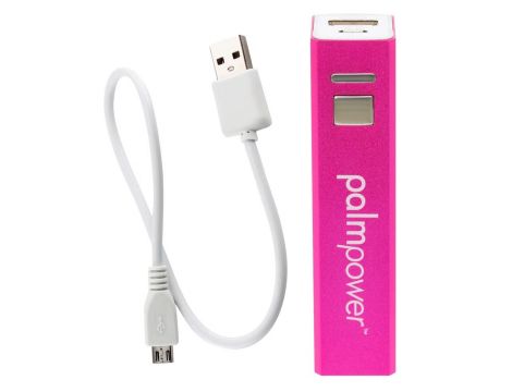 Palm Power Plug & Play - 4