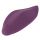 Sweet Smile RC Panty Vibrator