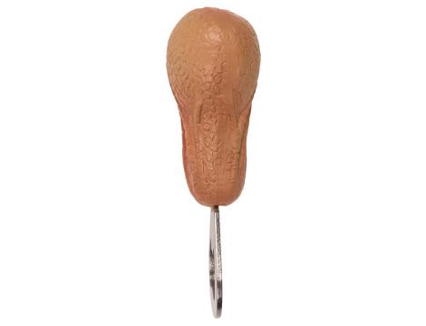 Bottle Opener - 3