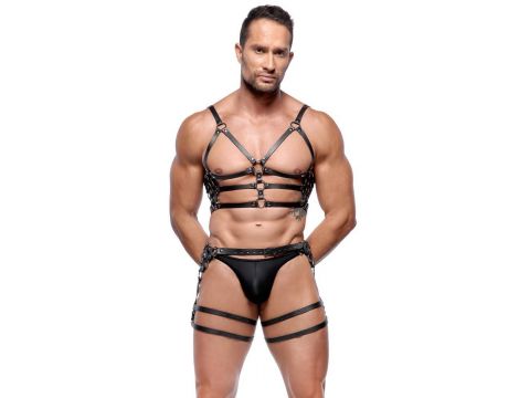Leather Harness Set M/L - 2