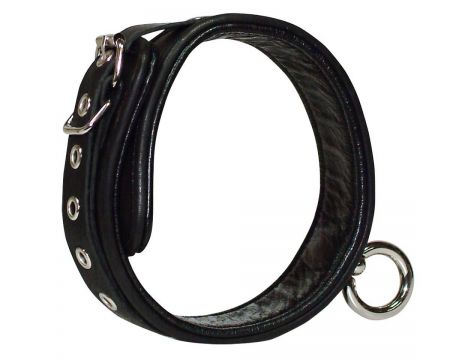 Leather Collar S-L - 2