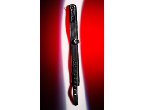 Leather Collar S-L - 3