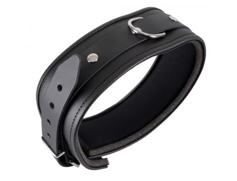 Leather Collar S/M