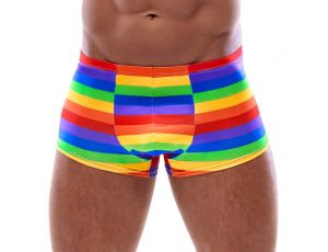 Men's Boxer Briefs Rainbow L