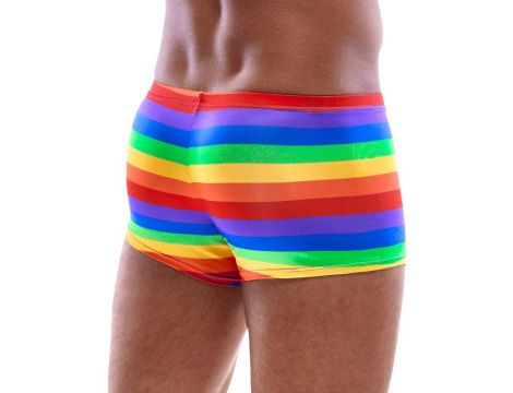 Men's Boxer Briefs Rainbow L - 2